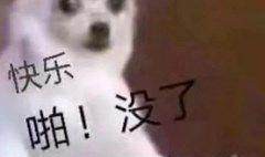 官方直播入口-啪！快乐没了！国足比赛易地 “退钱哥”真的要退钱了