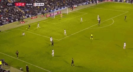 1672868161187018605.gif IMG_5295.gif